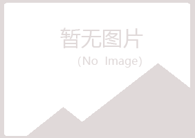 广西山柏律师有限公司